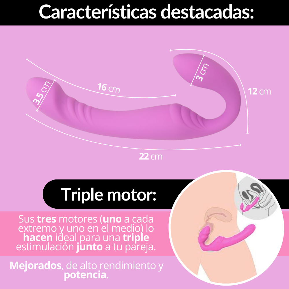 Arnes Vibrador Premium